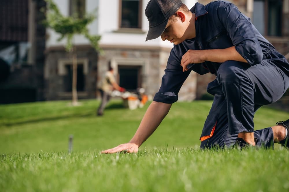 Landscaper checking a residential lawn